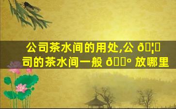 公司茶水间的用处,公 🦁 司的茶水间一般 🌺 放哪里